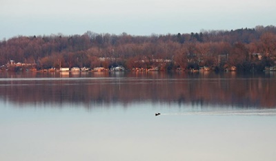 Across the Bay <i>- by Cathy Contant