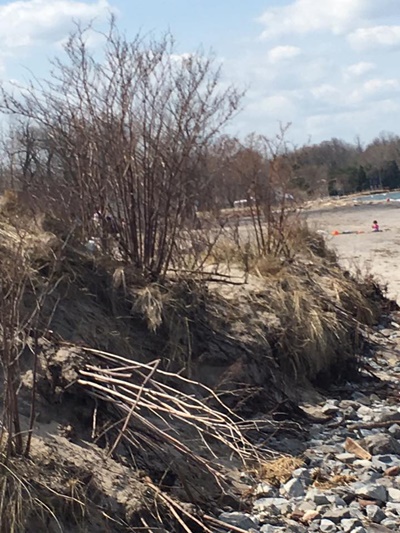 Beach at Sodus Point, Lake Side <i>- by Tracy Burkovich</i>