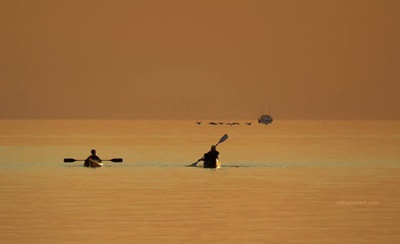 Kayakers on Lake Ontario <i>- by Cathy Contant</i>