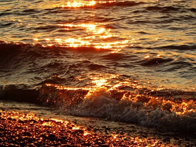 Liquid Gold on Sodus Point Beach <i>- by Cathy Contant</i>