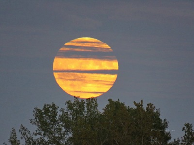 Moon on Great Sodus Bay <i>- by Cathy Contant</i>