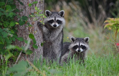 On the Way to the Bay <i>- by Cathy Contant</i>