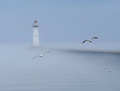 Pier Light in the Fog <i>- by Cathy Contant</i>