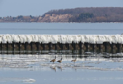 Walking on Water, A Winter Scene <i>- by Cathy Contant</i>