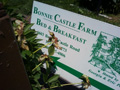 Bonnie Castle Farm B&B